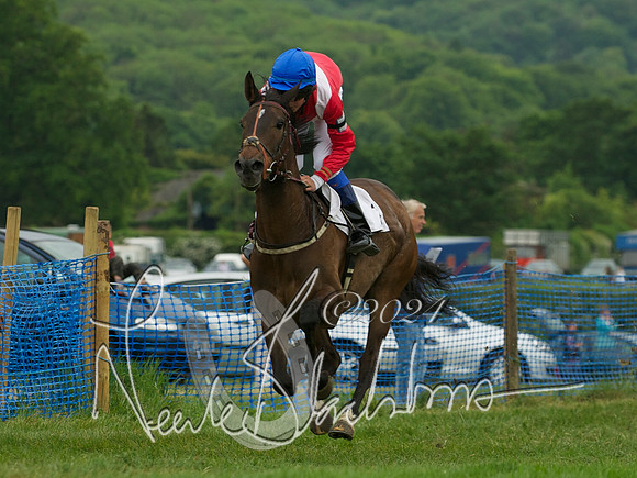 Pony Race 2 - 2