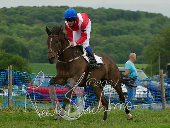 Pony Race 2 - 4