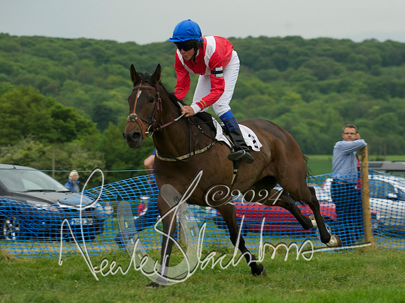 Pony Race 2 - 5