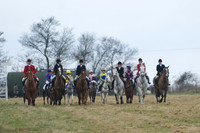 Pony Races