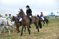 Pony Race 1 8