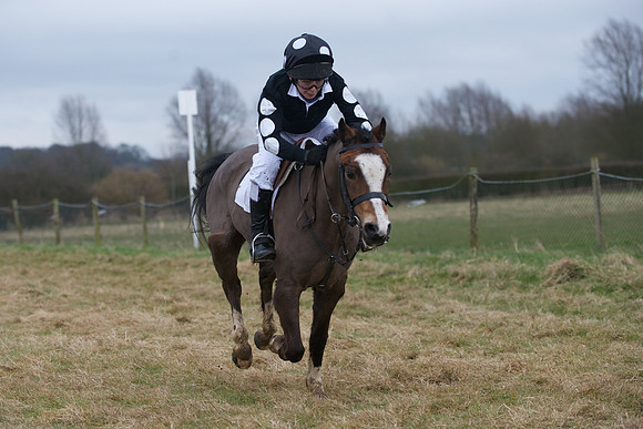 Pony Race 1 18