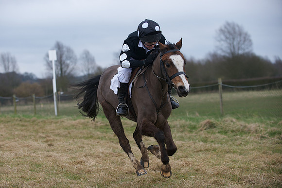 Pony Race 1 19