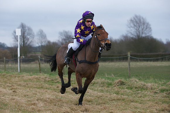 Pony Race 1 21