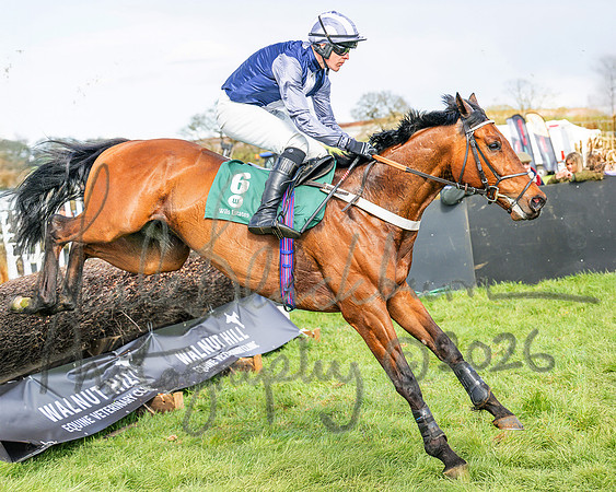 Race 4 - Edgcote Gold Cup (35 of 92)