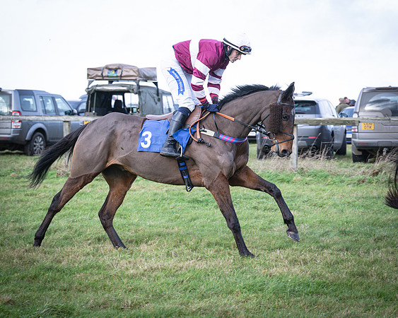 Race 2 - Maiden (33 of 145)