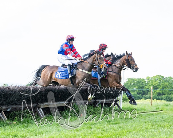 Race 5  - Maiden race 2m5F Div-2 (129 of 205)