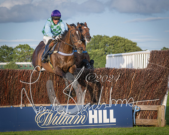 Race 5 - tipsterreviews.co.uk handicap (46 of 107)
