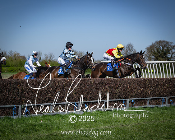 Race 2 - The Maiden (51 of 118)