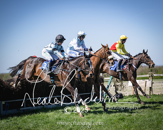 Race 2 - The Maiden (74 of 118)