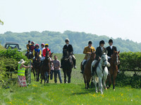 Hunt and Hounds 1