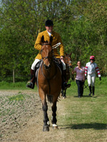 Hunt and Hounds 2