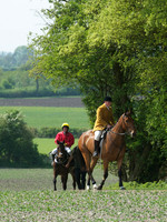 Hunt and Hounds 4