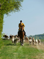 Hunt and Hounds 5