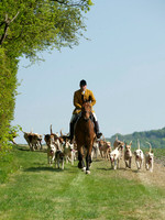 Hunt and Hounds 6