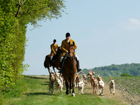 Hunt and Hounds 7