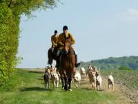 Hunt and Hounds 8