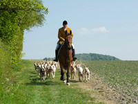Hunt and Hounds 10