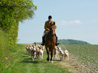 Hunt and Hounds 11