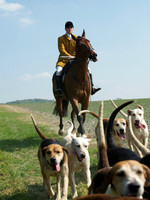 Hunt and Hounds 20