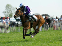 Pony Race 1-  1