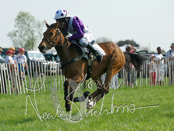 Pony Race 1-  1