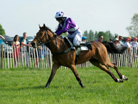 Pony Race 1-  2