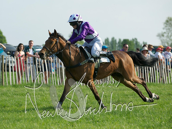Pony Race 1-  2