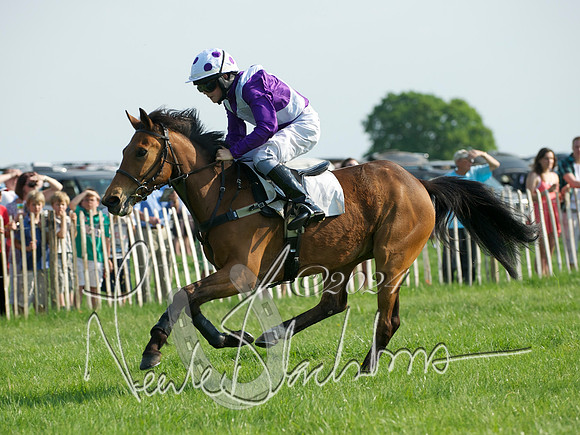 Pony Race 1-  4