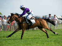 Pony Race 1-  5