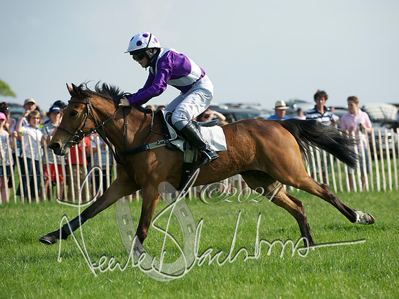 Pony Race 1-  5