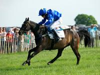 Pony Race 1-  7