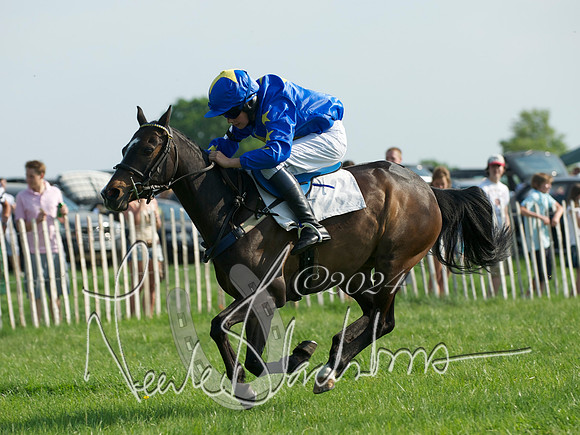 Pony Race 1-  6