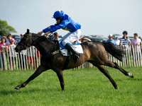 Pony Race 1-  8