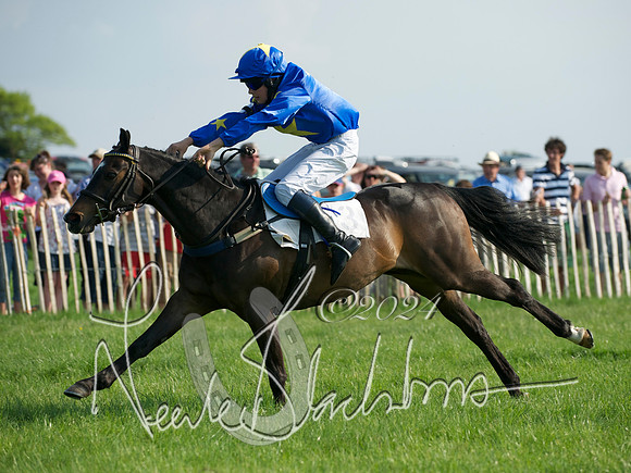 Pony Race 1-  8