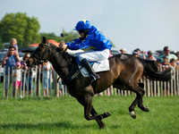 Pony Race 1-  9