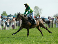 Pony Race 1-  11