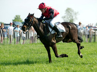 Pony Race 1-  12