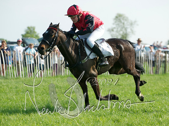 Pony Race 1-  12