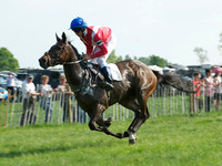 Pony Race 2-  1