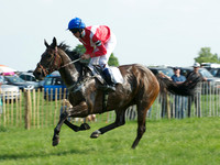 Pony Race 2-  2