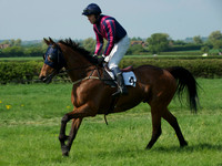 Restricted Race - 5
