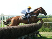 Restricted Race - 15