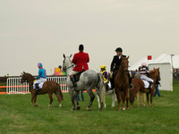 Pony 1 -  1