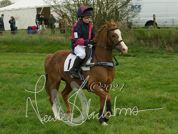 Pony 1 -  2