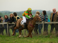 Pony 1 -  4