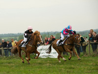 Pony 1 -  10