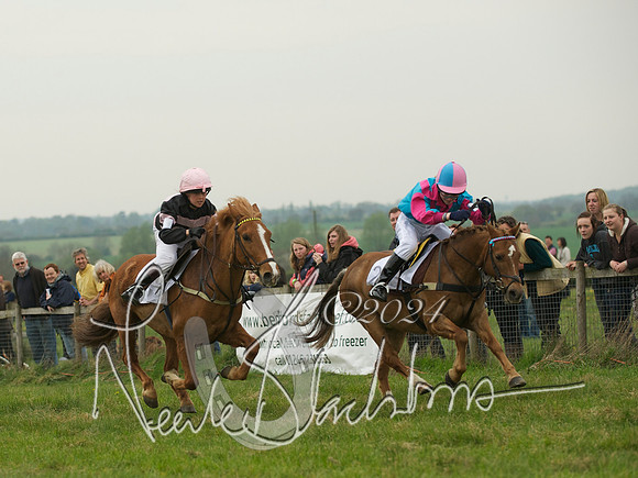 Pony 1 -  10