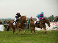 Pony 1 -  11