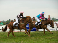 Pony 1 -  12